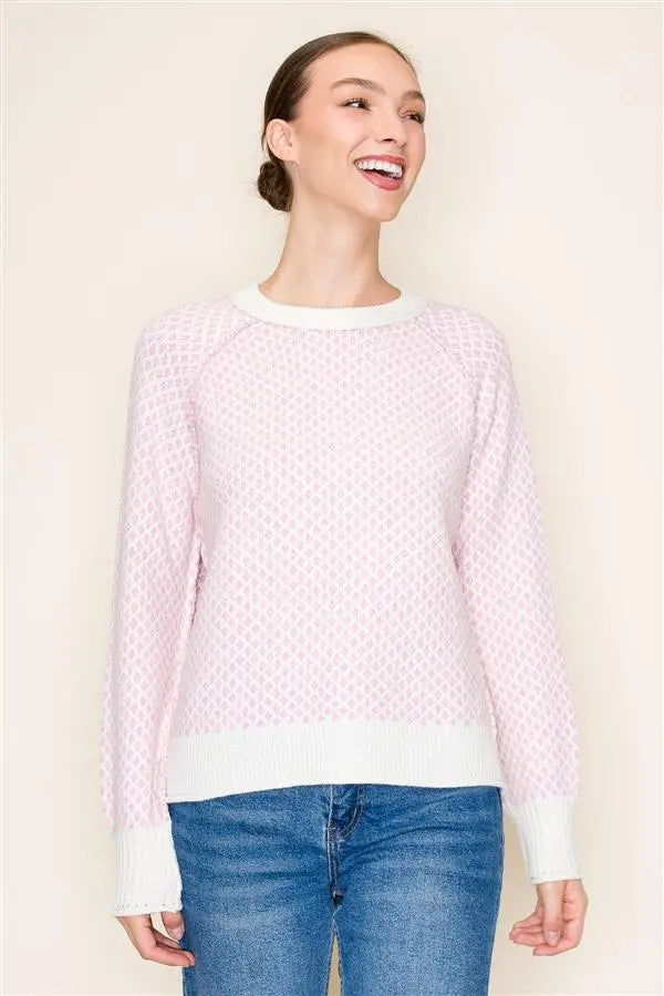 Sandee Textured Pullover Sweater